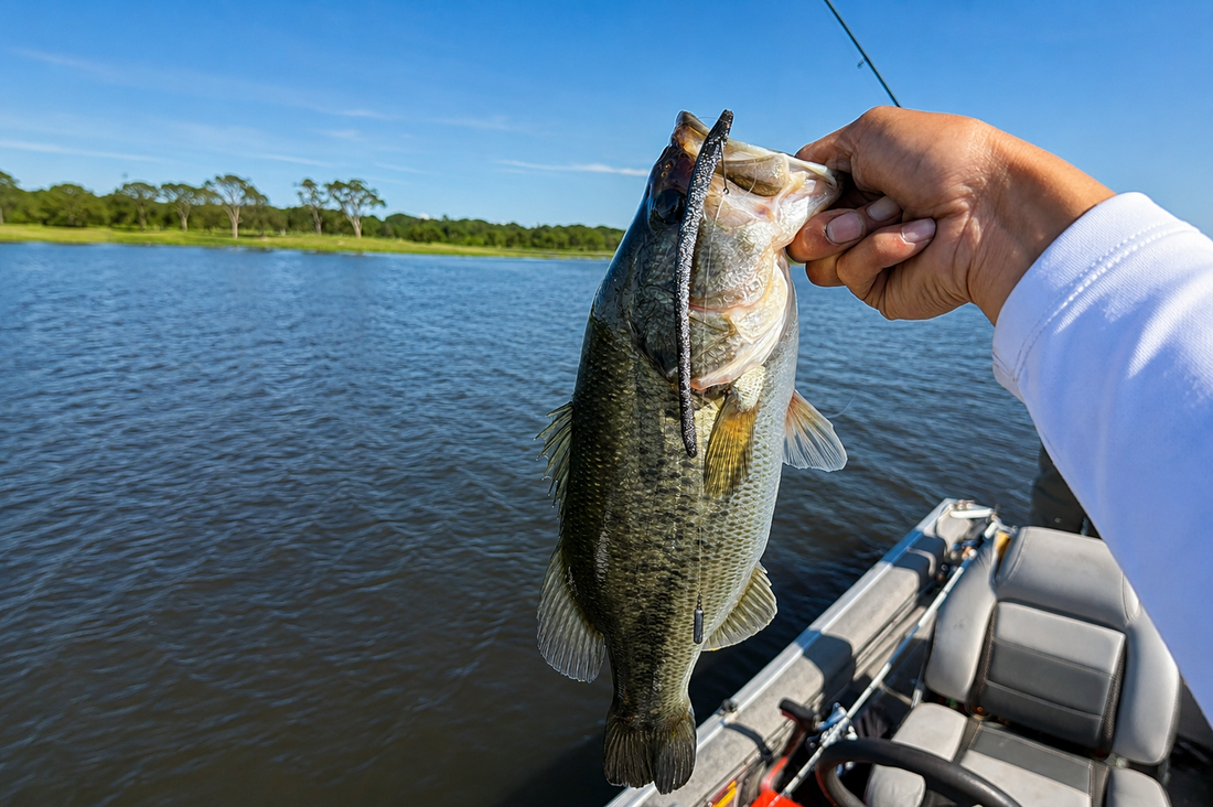 Drop Shot Guide by RFC Baits