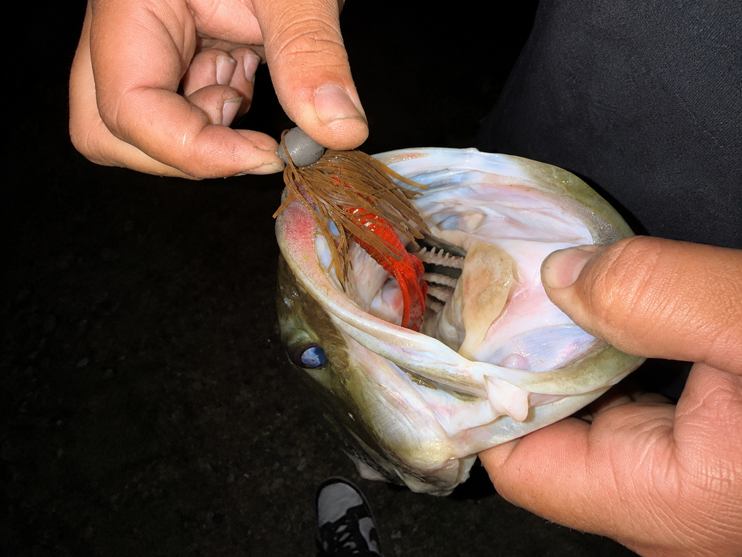 RFC 3.5" Punch Craw - 8 Pack