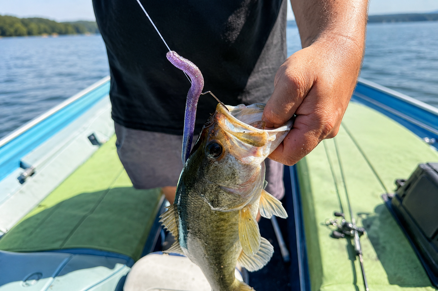 RFC 6" Stick Bait - 5 Pack