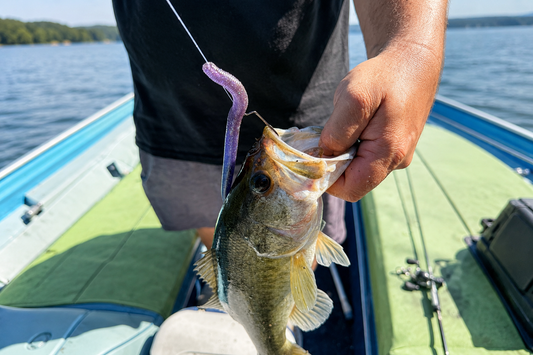 RFC 6" Stick Bait - 5 Pack